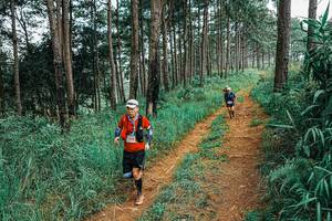 BIB: 
                            <button type="button" onclick="openModal(25658178)" class="btn btn-primary btn-sm float-right btn-popup" data-toggle="modal" data-target=".modal-high-quality">
                        <i class="fas fa-shopping-cart"></i> Add to Cart
                    </button>
                                            <button type="button" onclick="isThisMe(25658178, true)" class="btn btn-success btn-sm float-right btn-popup btn-isme hidden" data-toggle="tooltip" data-placement="bottom" title="นี่คือรูปของคุณใช่ไหม คลิกที่นี่เพื่อเอาเข้าอัลบั้ม">
                        <i class="fas fa-plus"></i> Add to album
                    </button>
                    <button type="button" onclick="isThisMe(25658178, false)" class="btn btn-warning btn-sm float-right btn-popup btn-isnotme hidden">
                        <i class="fas fa-ban"></i> Remove from album
                    </button>